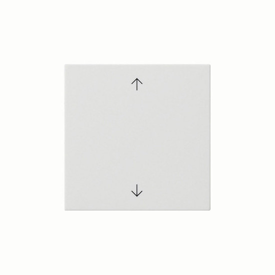 Gira 538903 Wippe 1-fach Pfeile System 55 Reinweiß