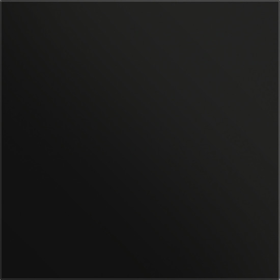 Gira 5554925 Frontplatte Info-/Blindmodul System 106 Schwarz m