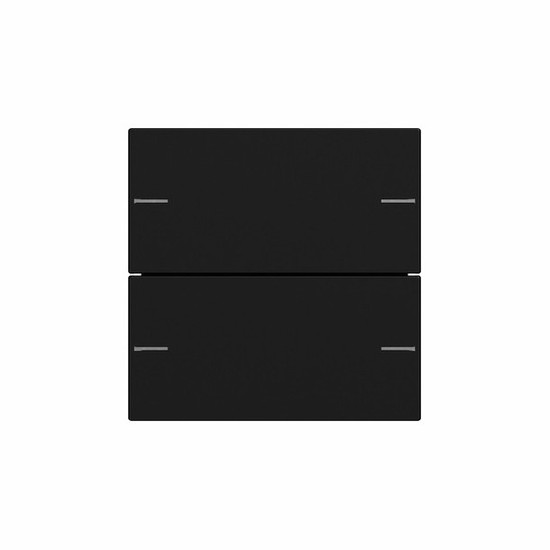 Gira 5752005 Wippenset 2-fach Tastsensensor 4.55 Schwarz m