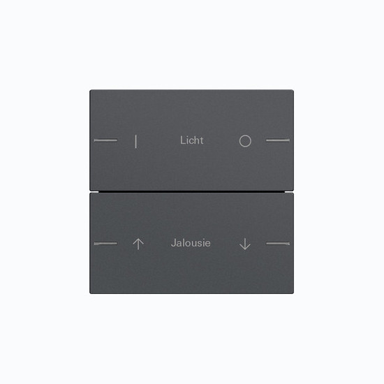 Gira 576228 Wippenset 2-fach individuell Tastsensensor 4.55 Anthrazit