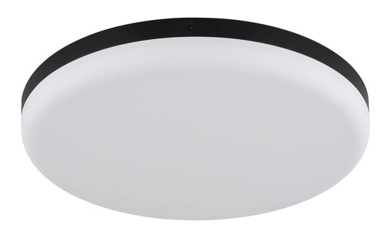 Globo Matthew LED Deckenleuchte 18W Neutralweiß Schwarz Matt Ø30cm 12387-24