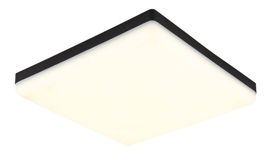 Globo Matthew LED Deckenleuchte 18W Neutralweiß Schwarz Matt 5cm 12388-24