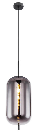 Globo Blacky E27 Hängeleuchte 60W Schwarz, Metall Ø22cm 15345H2