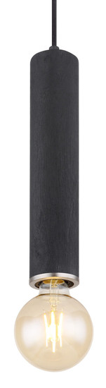 Globo Marion E27 Hängeleuchte 60W Schwarz Matt, Metall Ø6cm 15499H