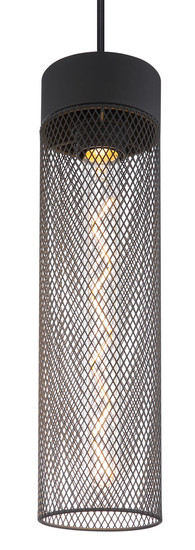 Globo Hans E27 Hängeleuchte 40W Schwarz Matt, Metall Ø9,5cm 15649H