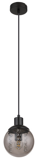 Globo Richard E27 Hängeleuchte 25W Schwarz Matt, Metall Ø15cm 15657H