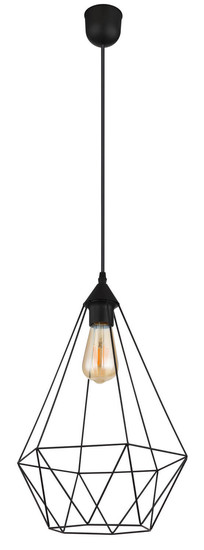 Globo Zachary E27 Hängeleuchte 60W Schwarz Matt, Metall Ø30cm 15745H1