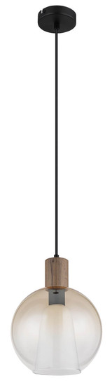 Globo Barry I E27 Hängeleuchte 40W Schwarz Matt, Metall Ø25cm 15773H