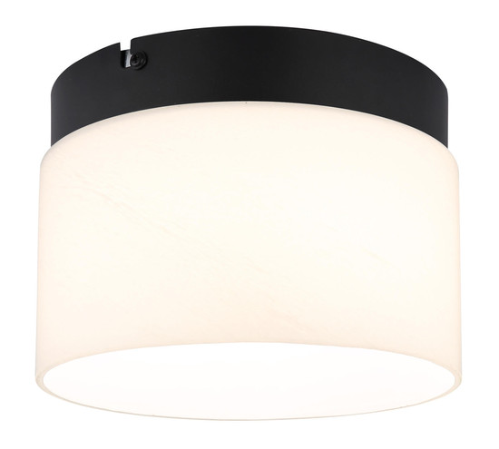 Globo Trenton LED Deckenleuchte 10W CCT Schwarz Matt, Metall Memoryfunktion Ø20cm 16052D