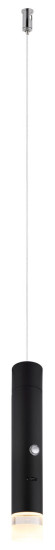 Globo Pelo LED Hängeleuchte 2W Warmweiß Schwarz Matt, Metall Ø3,8cm 16060
