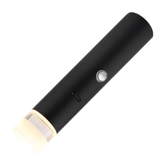 Globo Pelo LED Hängeleuchte 2W Warmweiß Schwarz Matt, Metall Ø3,8cm 16060