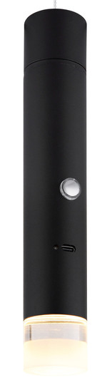 Globo Pelo LED Hängeleuchte 2W Warmweiß Schwarz Matt, Metall Ø3,8cm 16060