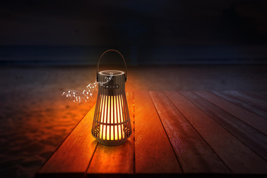 Globo Cherrie LED Dekorartikel 1,40W IP65 Schwarz Matt 18,8cm 39905