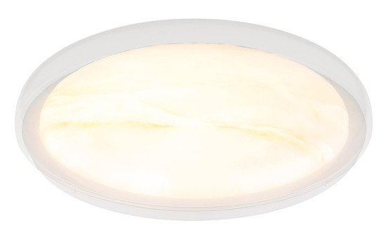 Globo Tyrone LED Deckenleuchte 24W CCT Weiß, Metall Memoryfunktion Ø38,5cm 41779-24