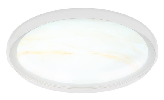 Globo Tyrone LED Deckenleuchte 24W CCT Weiß, Metall Memoryfunktion Ø38,5cm 41779-24