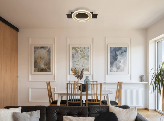 Globo Jayden LED Deckenleuchte 18W Warmweiß Schwarz Matt, Metall Ø29cm 48034A-18