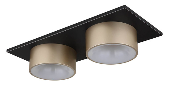 Globo Raymond LED Deckenleuchte 24W Warmweiß Schwarz Matt, Metall Ø15cm 56964-2