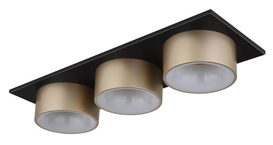 Globo Raymond LED Deckenleuchte 24W Warmweiß Schwarz Matt, Metall Ø15cm 56964-3