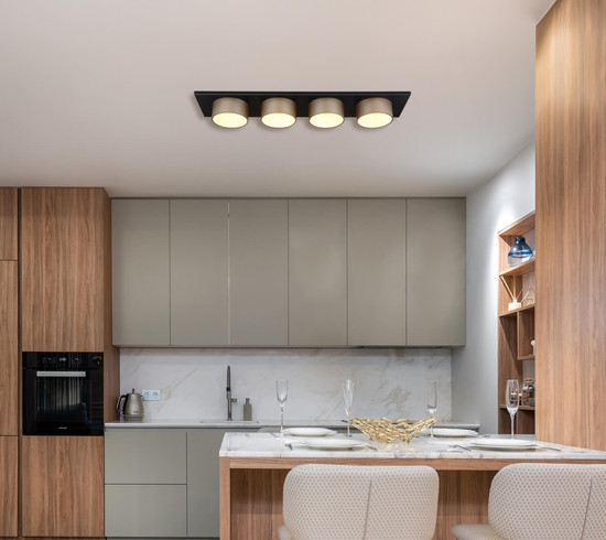 Globo Raymond LED Deckenleuchte 40W Warmweiß Schwarz Matt, Metall Ø15cm 56964-4