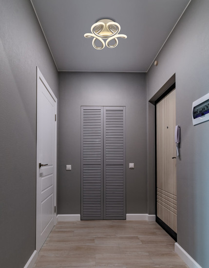 Globo Melisand LED Deckenleuchte 24W CCT Silberfarben Matt, Metall Memoryfunktion Ø26cm 67386-24S