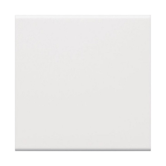 Hager GW1B9016 Wippe 1-fach für Schalter/Taster für Rahmenblende 55 halogenfrei verkehrsweiß