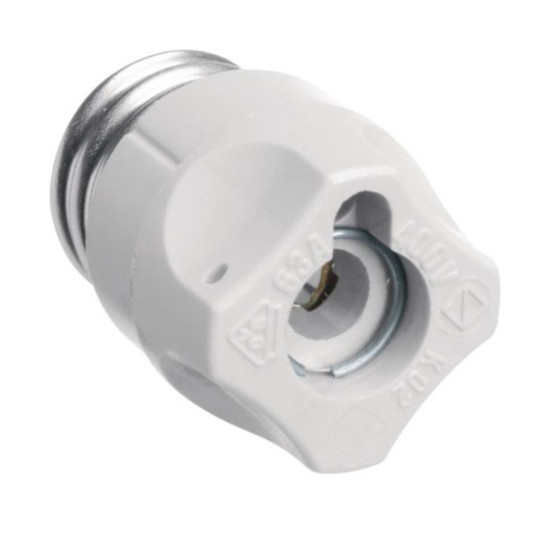 Hager LE18SIP Schraubkappe D02 E18 63A aus Kunststoff mit Prüfloch plombierbar  Typ K02