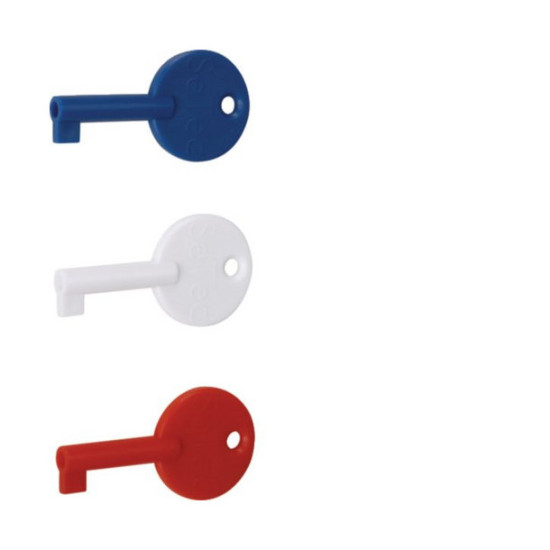 Hager RXE02D Ersatz-Schlüssel 3er Set für Druckknopfmelder