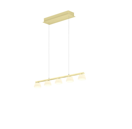 Hell Jane LED Pendelleuchte 5-fach steuerbare Lichtfarbe Dimmbar 60-180cm >90Ra Champagner 20702/5-42