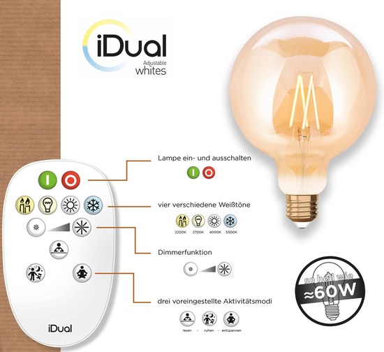 iDual LED Filament Lampe E27 2200-5500 K dimmbar G125 Globe 9W Fernbedienung Amber