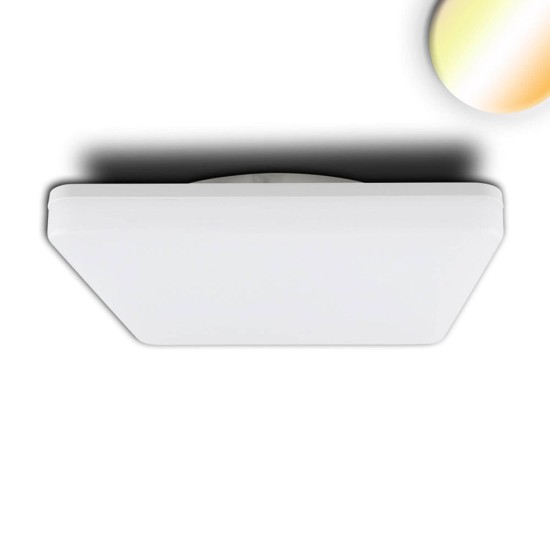 ISOLED LED Decken/Wandleuchte mit HF-Sensor 24W, weiß, quadratisch, IP54, ColorSwitch 3000/4000K
