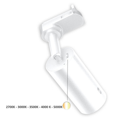 Isoled 3PH Strahler SELECT 8W UGR<19, 18°-50°, weiß, ColorSwitch 2700-5000K, CRI90, dimmbar 117084