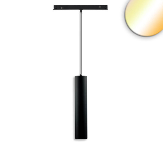 Isoled Track48 Hängeleuchte Pipe schwarz, 12W, 36°, UGR<19, 48V DC, 1800-4000K, CRI90, DALI DT8 117232