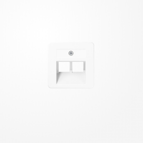 Jung 169-2UAEWW Abdeckung für IAE/UAE-Anschlussdosen 2x8-polig, Thermoplast, 50x50 mm, alpinweiß