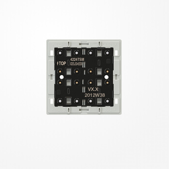 Jung 4224TSM Tastsensor-Modul 24 V AC/DC, 20 mA 2fach, Mehrdraht, F40