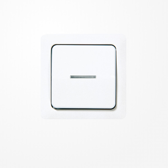 Jung 5561KO5WW Wippe mit Lichtleiter, Duroplast, ST 550, alpinweiß