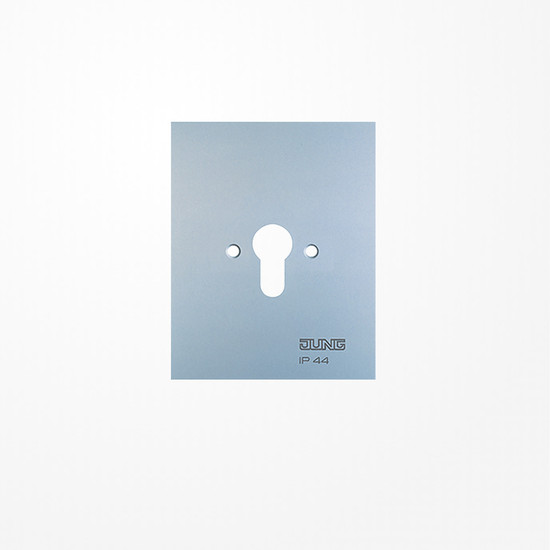 Jung 6.28WUG Metall-Abdeckung 125x100mm, ohne Symbole, WG 800, Alu matt