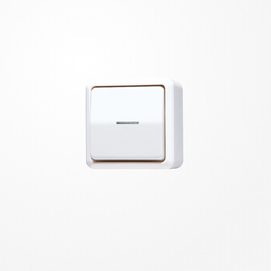 Jung 606KO5AWW Wipp-Kontrollschalter, Universal Aus-Wechsel, 10 AX 250 V ~, AP 600, alpinweiß