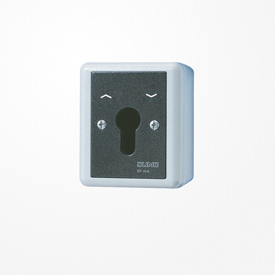 Jung 804.28G Jalousie-Schlüsselschalter, Wendeschalter, 2-pol. (2 Antriebe), IP 44, WG 800