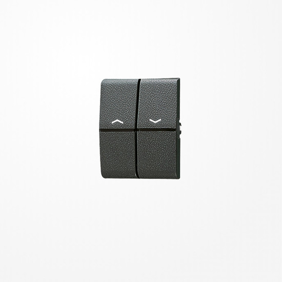 Jung 805P Wippe, mit Pfeilsymbolen, Thermoplast, WG 800, anthrazit