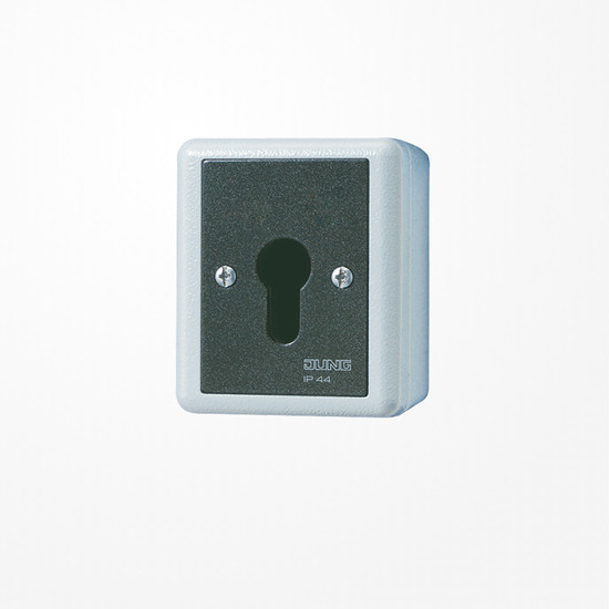 Jung 833.18G Schlüsselschalter, Gehäuse aus Alu-Druckguss, Taster (Wechsler), 1-pol., IP 44, WG 800