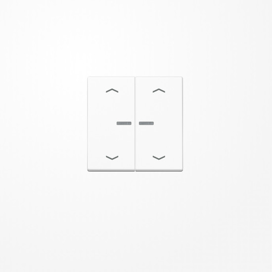 Jung A102KO5PWW Wippe mit Lichtleiter, mit Pfeilsymbolen für Taster 2fach, Duroplast, F10, Serie A, alpinweiß