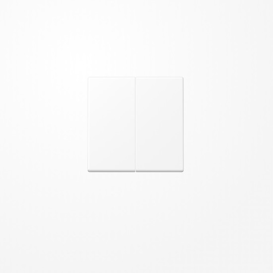 Jung A1702BFWWM LB-Management Taster 2fach, Thermoplast lackiert, Serie A, schneeweiß matt