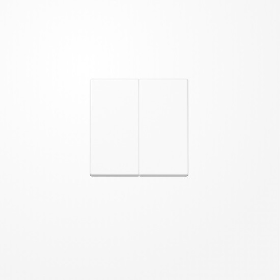 Jung A1702WW LB-Management Taster 2fach, Duroplast, Serie A, alpinweiß