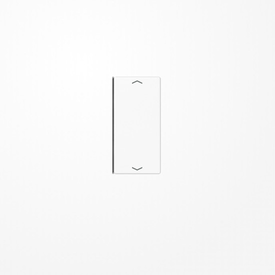 Jung A402TSAPWW Taste 2fach, mit Pfeilsymbolen, F40, Serie A, alpinweiß