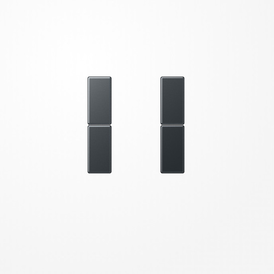 Jung A502TSAANM Tastensatz 2fach, F50, Serie A, anthrazit matt