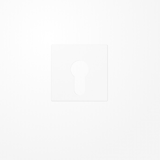 Jung A525PLWW Abdeckung für Schlüsselschalter ohne Demontageschutz, Thermoplast, Serie AS/A, alpinweiß