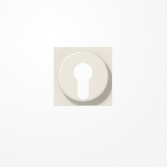 Jung A528PL Abdeckung für Schlüsselschalter mit Demontageschutz, Thermoplast, Serie AS, weiß