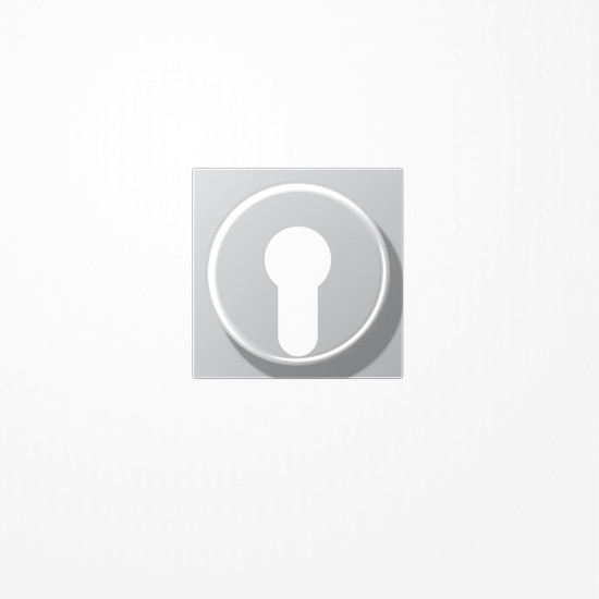 Jung A528PLAL Abdeckung für Schlüsselschalter mit Demontageschutz, Thermoplast lackiert, Serie A, aluminium