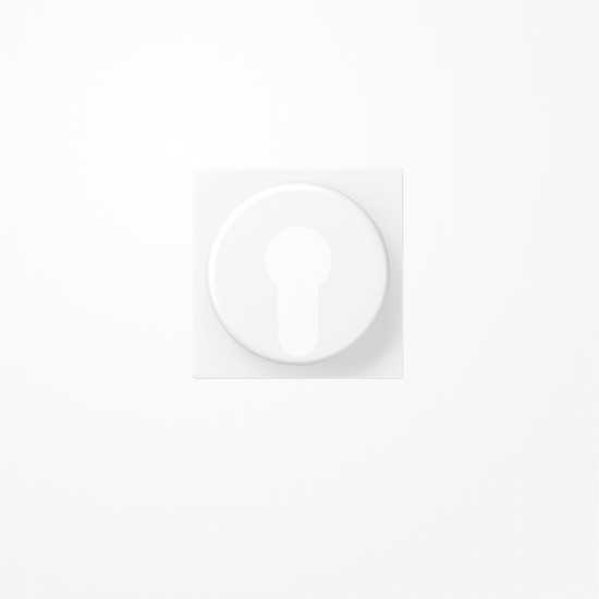 Jung A528PLWWM Abdeckung für Schlüsselschalter mit Demontageschutz, Thermoplast lackiert, Serie A, schneeweiß matt