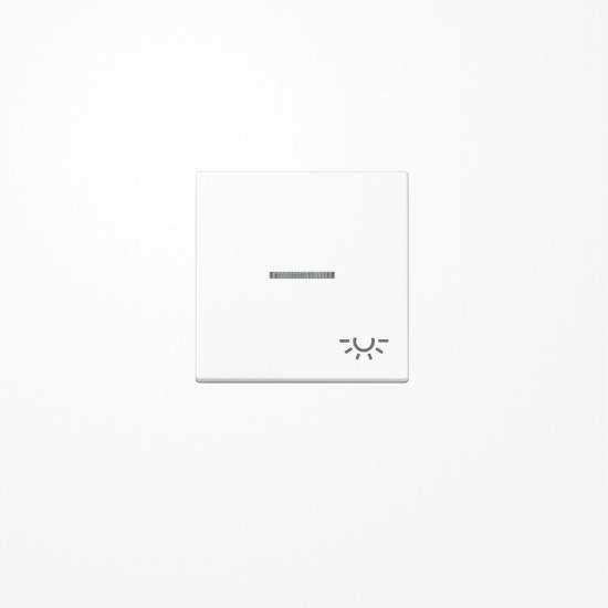 Jung A590BFKO5LWW Wippe mit Lichtleiter, Symbol Licht, Thermoplast, Serie A, alpinweiß